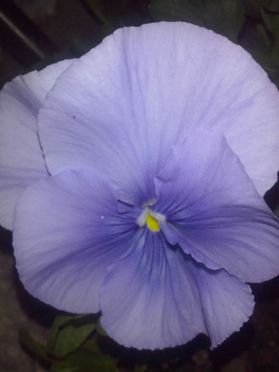 CAM01496 - 2014 FLORI EXTERIOR