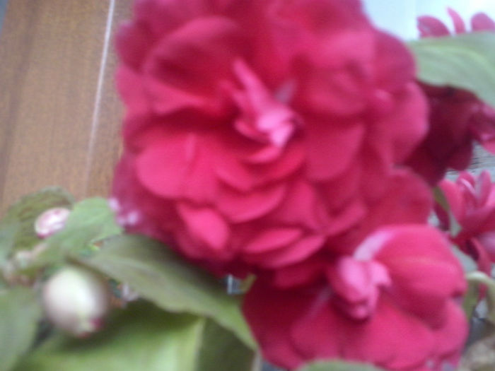 CAM01532 - 2014 FLORI EXTERIOR