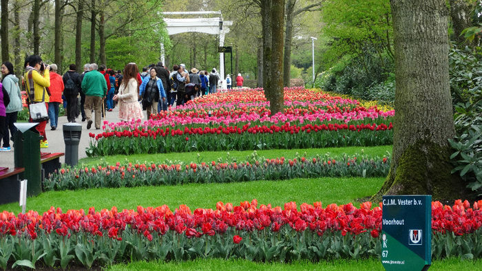 2014_04120038 - Keukenhof 2014 - 1