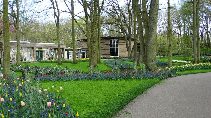 2014_04120062 - Keukenhof 2014 - 1