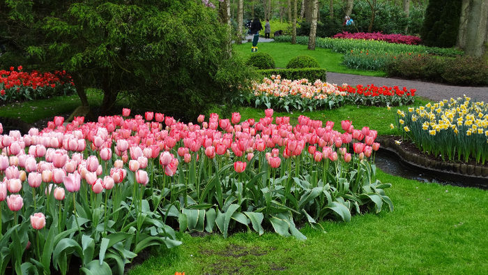 2014_04120082 - Keukenhof 2014 - 1