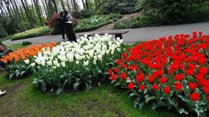 2014_04120087 - Keukenhof 2014 - 1