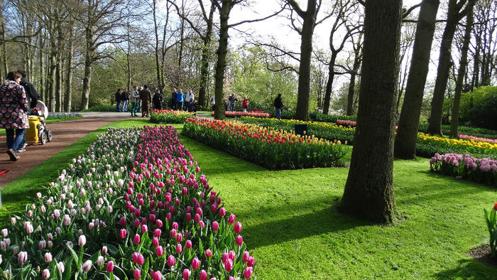 2014_04120145 - Keukenhof 2014 - 1