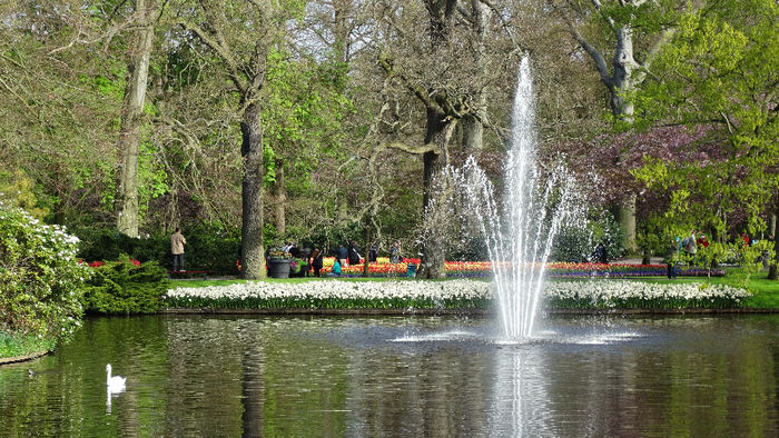 2014_04120155 - Keukenhof 2014 - 1