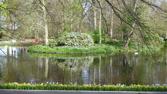 2014_04120157 - Keukenhof 2014 - 1