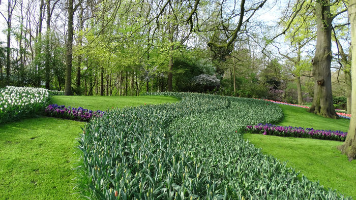 2014_04120158 - Keukenhof 2014 - 1