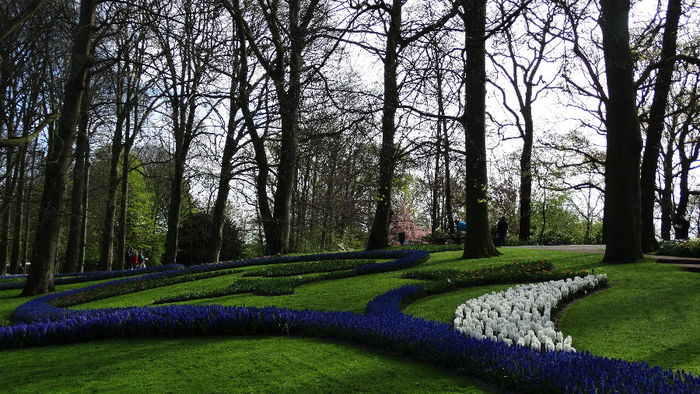 2014_04120159 - Keukenhof 2014 - 1