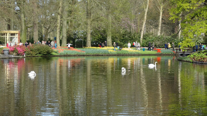 2014_04120161 - Keukenhof 2014 - 1