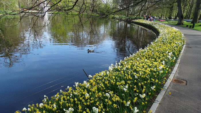 2014_04120163 - Keukenhof 2014 - 1