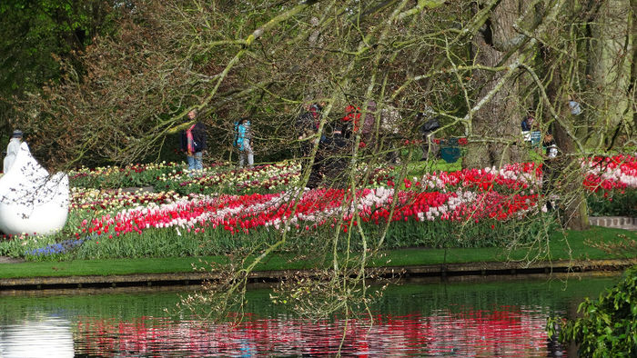 2014_04120165 - Keukenhof 2014 - 1