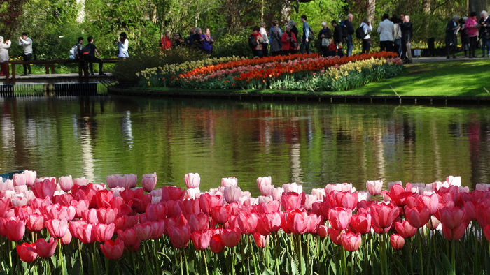 2014_04120197 - Keukenhof 2014 - 1