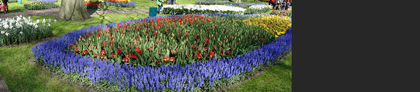 2014_04120339 - Keukenhof 2014 - 1