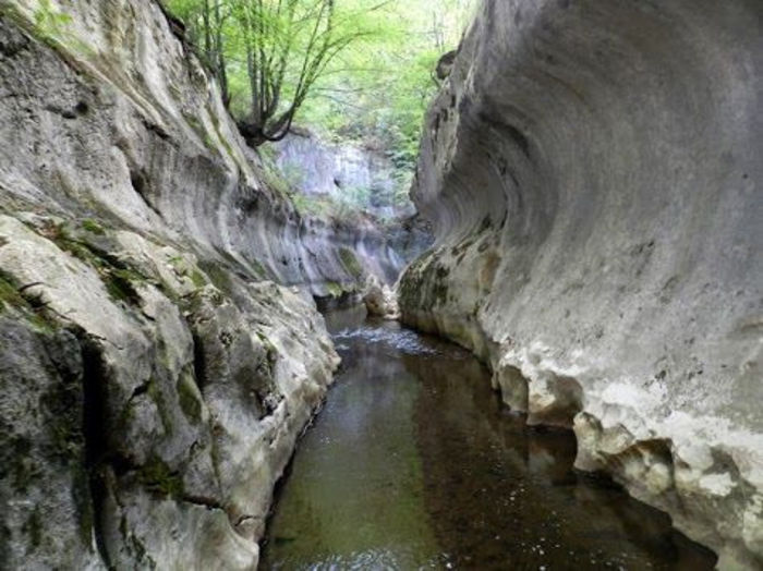 1497066_676654405709971_1856619663_n