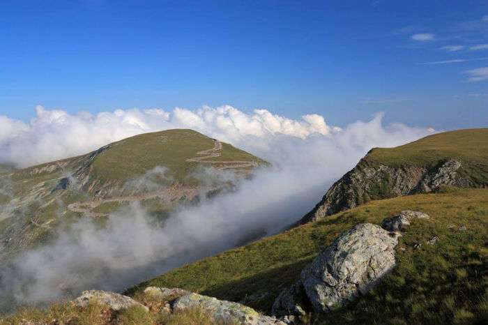 1606399_676177652424313_675711370_o