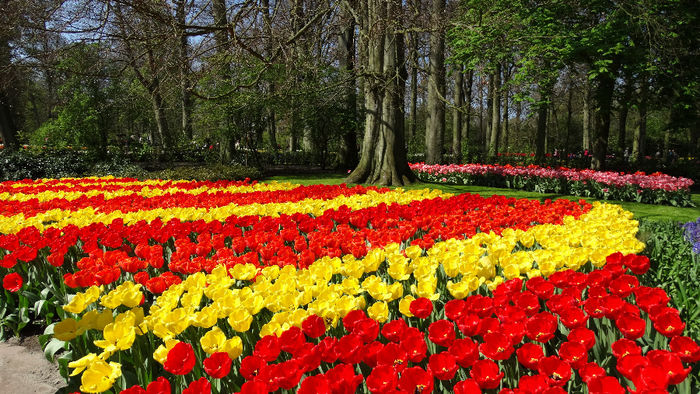 2014_04120370 - Keukenhof 2014 - 1