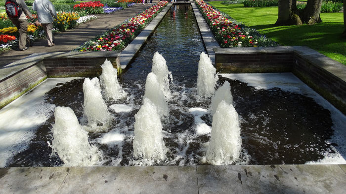 2014_04120372 - Keukenhof 2014 - 1