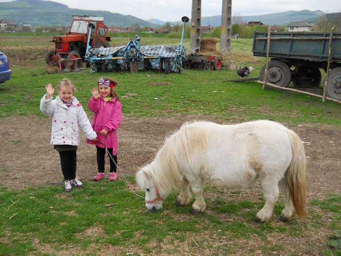 calarie Gherla 13.04.2014 004