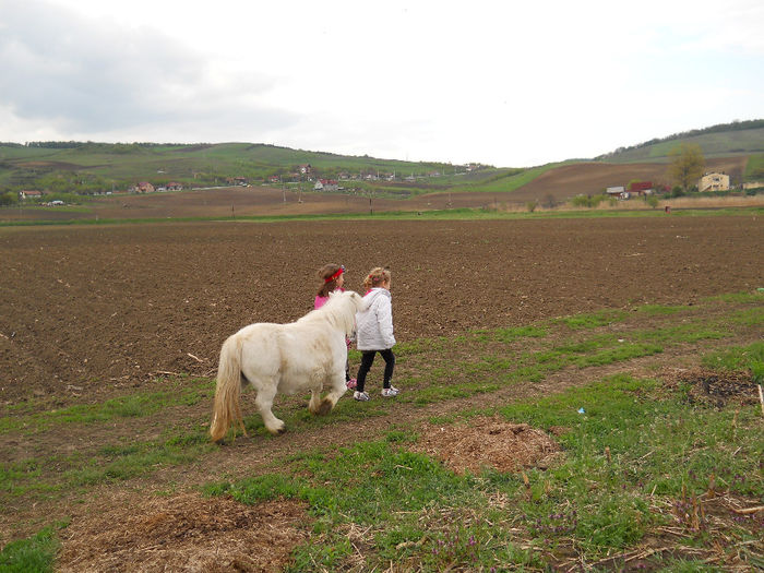 calarie Gherla 13.04.2014 005