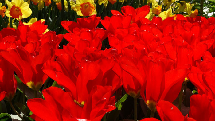 2014_04120400