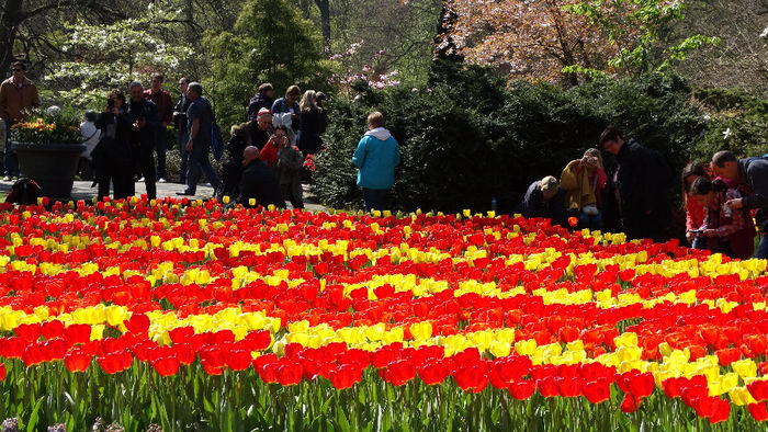 2014_04120418 - Keukenhof 2014 - 1