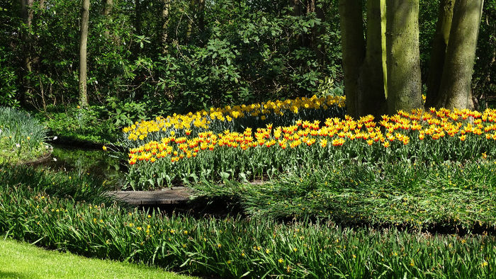 2014_04120444 - Keukenhof 2014 - 1