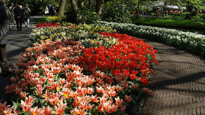 2014_04120454 - Keukenhof 2014 - 1