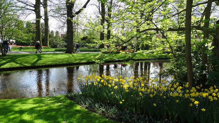 2014_04120467 - Keukenhof 2014 - 1