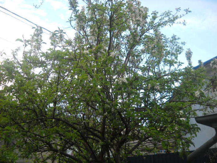 Picture 2773