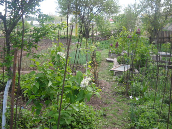 Picture 2767