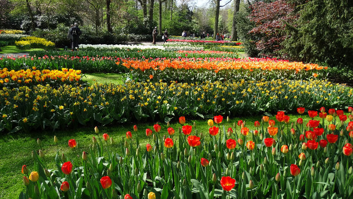 2014_04120501 - Keukenhof 2014 - 1