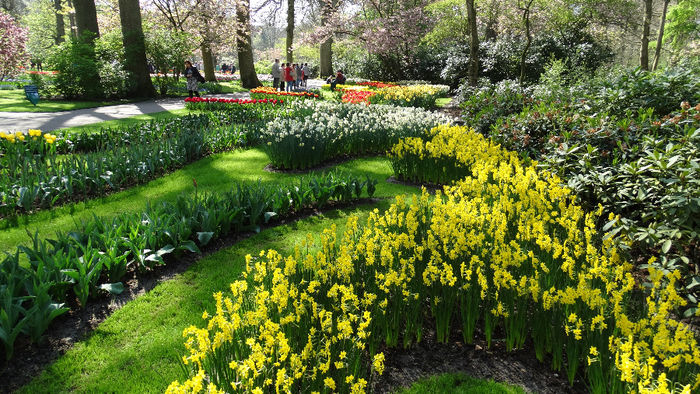 2014_04120525 - Keukenhof 2014 - 1