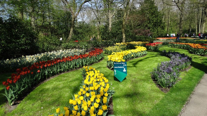 2014_04120535 - Keukenhof 2014 - 1