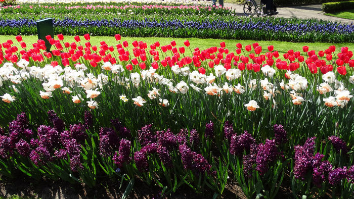 2014_04120536 - Keukenhof 2014 - 2