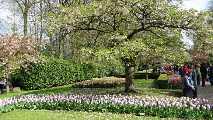 2014_04120792 - Keukenhof 2014 - 2