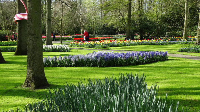 2014_04120821 - Keukenhof 2014 - 2