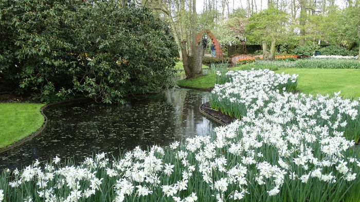 2014_04120837 - Keukenhof 2014 - 2