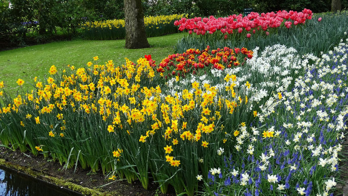 2014_04120838 - Keukenhof 2014 - 2