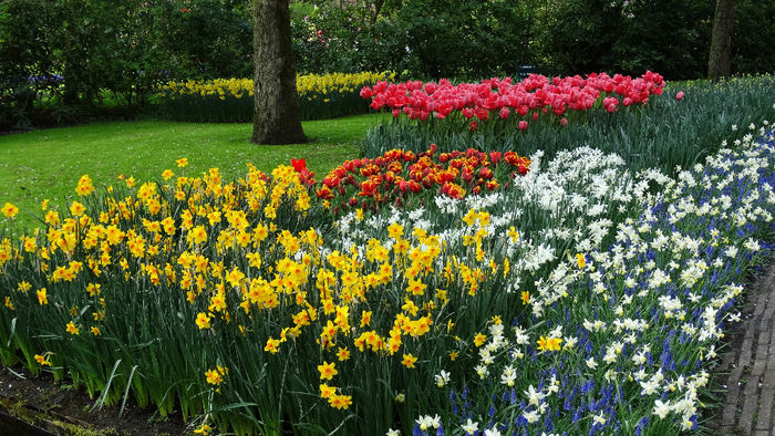 2014_04120839 - Keukenhof 2014 - 2