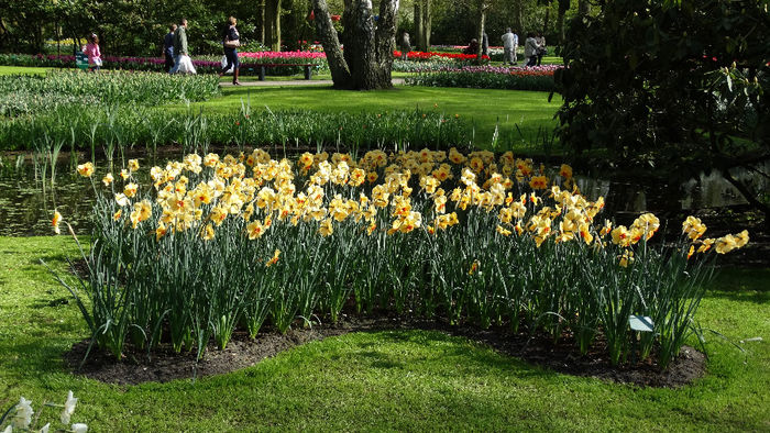 2014_04120852 - Keukenhof 2014 - 2