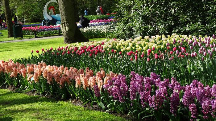 2014_04120877 - Keukenhof 2014 - 2