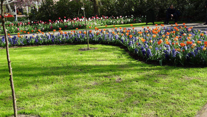 2014_04120895 - Keukenhof 2014 - 2