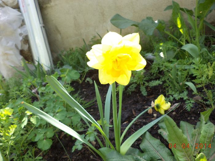 DSC02710