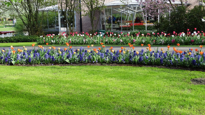 2014_04120896 - Keukenhof 2014 - 2