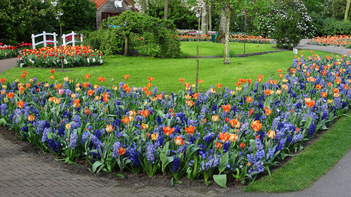 2014_04120901 - Keukenhof 2014 - 2