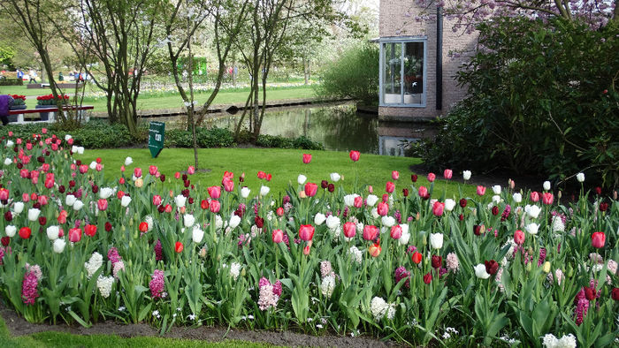 2014_04120905 - Keukenhof 2014 - 2