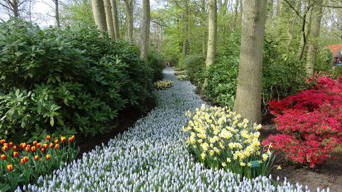 2014_04120913 - Keukenhof 2014 - 2