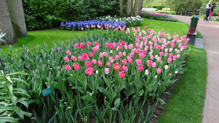 2014_04120925 - Keukenhof 2014 - 2