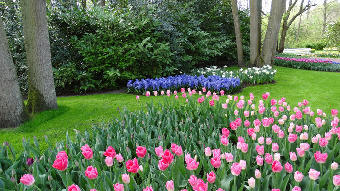 2014_04120927 - Keukenhof 2014 - 2