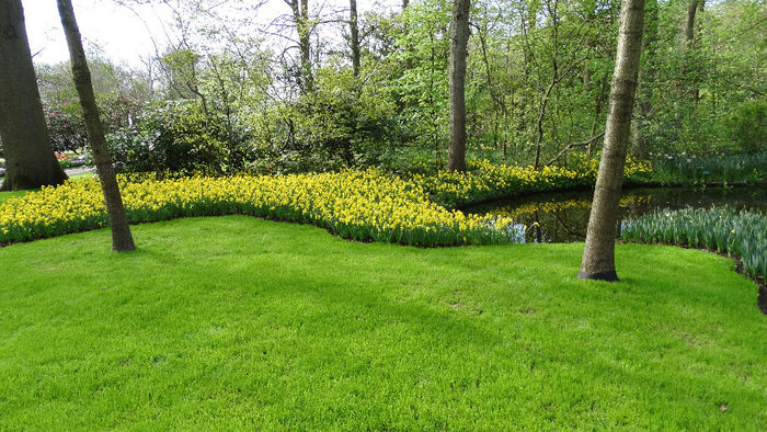 2014_04120930 - Keukenhof 2014 - 2