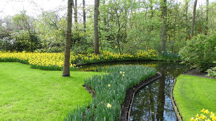 2014_04120933 - Keukenhof 2014 - 2